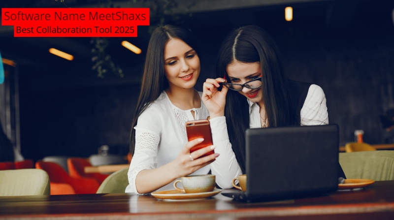 Software Name MeetShaxs